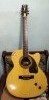 Gibson Venus Super Semi Electric Acoustic Guitar